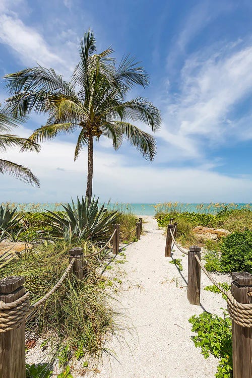 The Sandy Path To The Beach