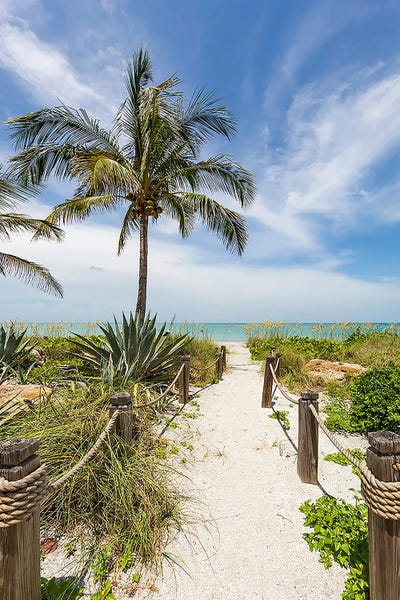 Fine Art Print: The Sandy Path To The Beach by Melanie Viola