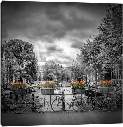 Typical Amsterdam Canvas Art Print - Bicycle Art
