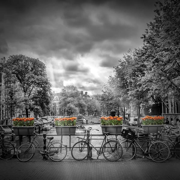 Bicycles: Typical Amsterdam by Melanie Viola