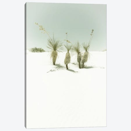 White Sands Idyllic Vintage Scenery Canvas Print #MEV1122} by Melanie Viola Canvas Wall Art