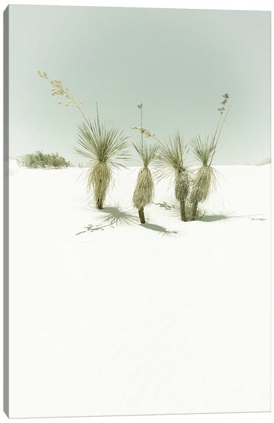 White Sands Idyllic Vintage Scenery Canvas Art Print - New Mexico Art