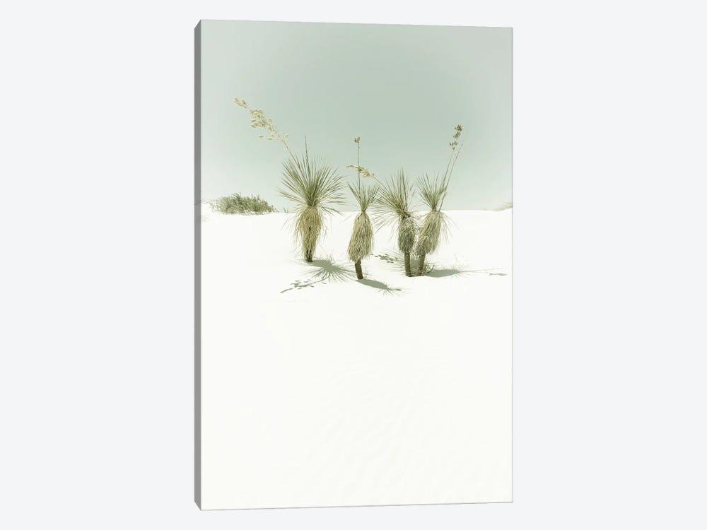 White Sands Idyllic Vintage Scenery by Melanie Viola 1-piece Canvas Art Print