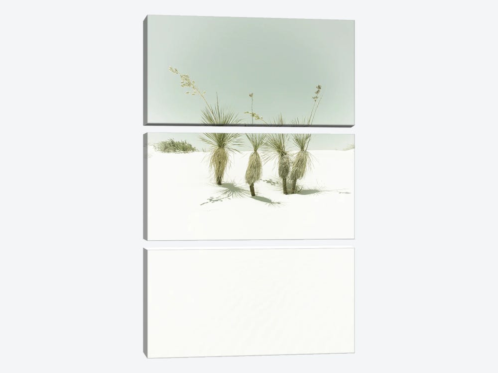 White Sands Idyllic Vintage Scenery by Melanie Viola 3-piece Art Print