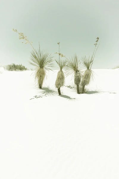 New Mexico: White Sands Idyllic Vintage Scenery by Melanie Viola