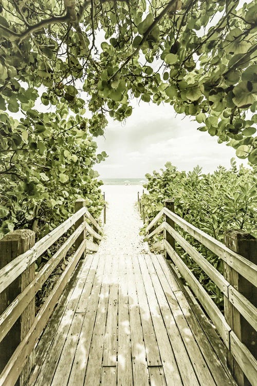 Bridge To Miami Beach