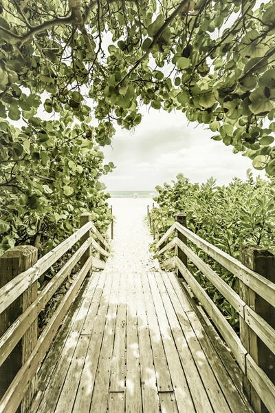Miami Beach: Bridge To Miami Beach by Melanie Viola