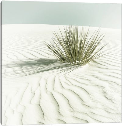 White Sands Minimalist Scenery - Vintage Sqaure Format Canvas Art Print - Desert Landscape Photography