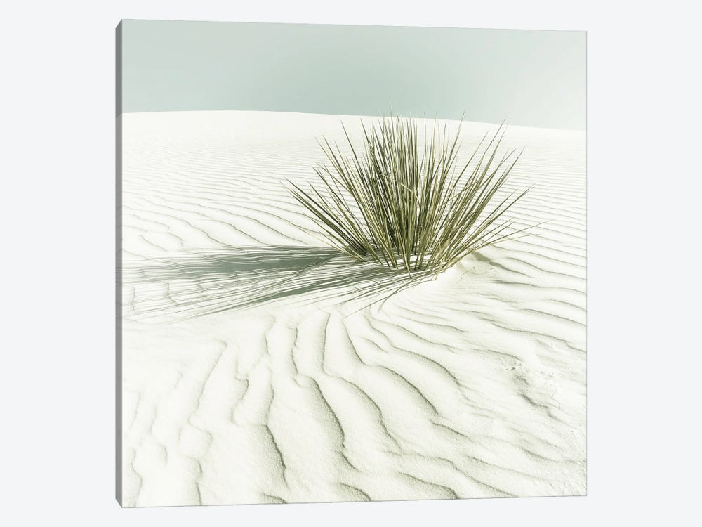 White Sands Minimalist Scenery - Vintage Sqaure Format by Melanie Viola 1-piece Canvas Art