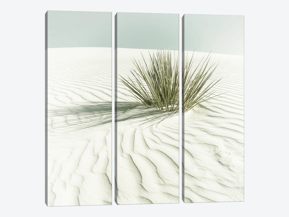 White Sands Minimalist Scenery - Vintage Sqaure Format by Melanie Viola 3-piece Canvas Wall Art
