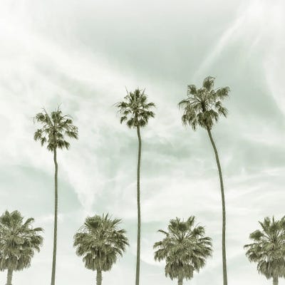 Vintage Palm Trees - Sqaure Format by Melanie Viola canvas print