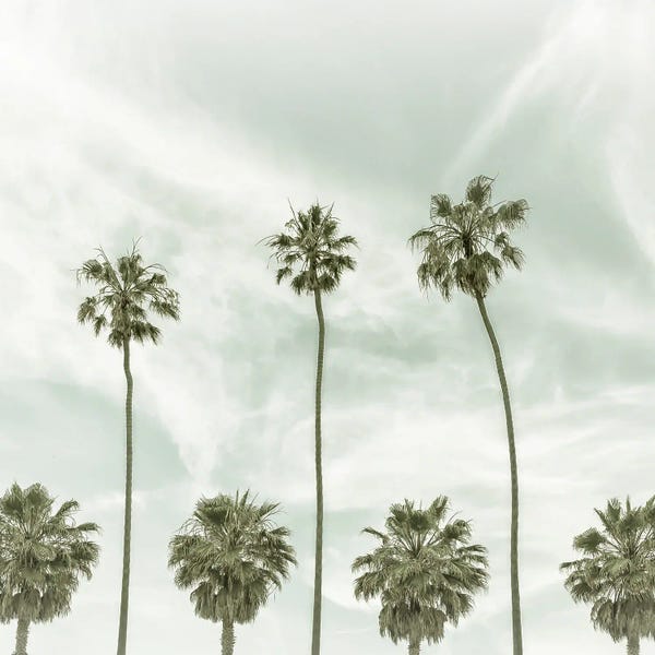 Fine Art Print: Vintage Palm Trees - Sqaure Format by Melanie Viola