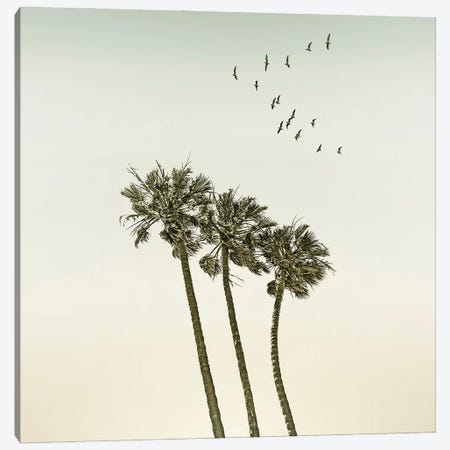 Vintage Palm Trees At Sunset - Sqaure Format Canvas Print #MEV1145} by Melanie Viola Canvas Print