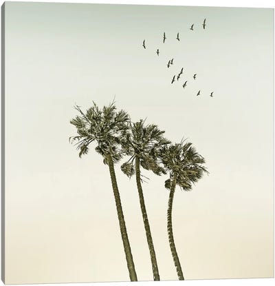 Vintage Palm Trees At Sunset - Sqaure Format Canvas Art Print - Beach Sunrise & Sunset Art