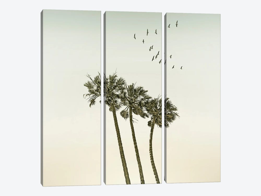 Vintage Palm Trees At Sunset - Sqaure Format by Melanie Viola 3-piece Canvas Wall Art
