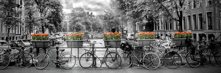 Amsterdam Gentlemen's Canal by Melanie Viola wall art