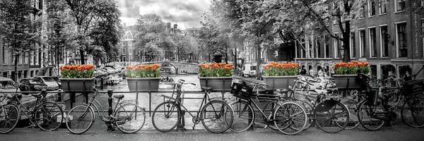 Bicycles: Amsterdam Gentlemen's Canal by Melanie Viola