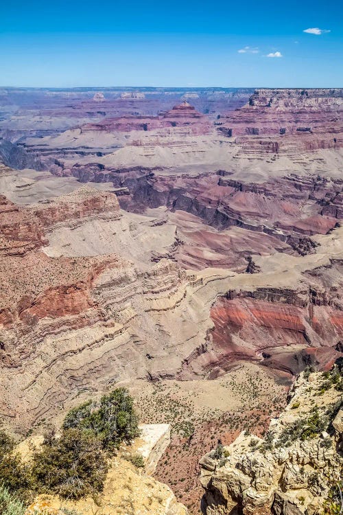 Grand Canyon Impression From Moran Point