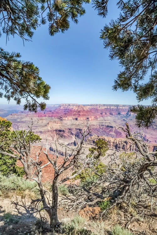 Grand Canyon Impression From Navajo Point