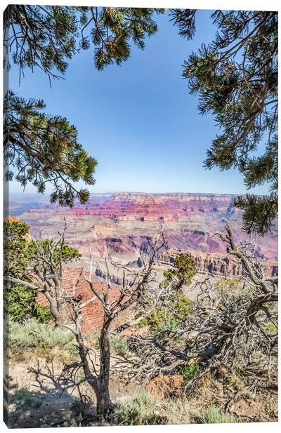 Grand Canyon Impression From Navajo Point Canvas Art Print - Grand Canyon National Park Art