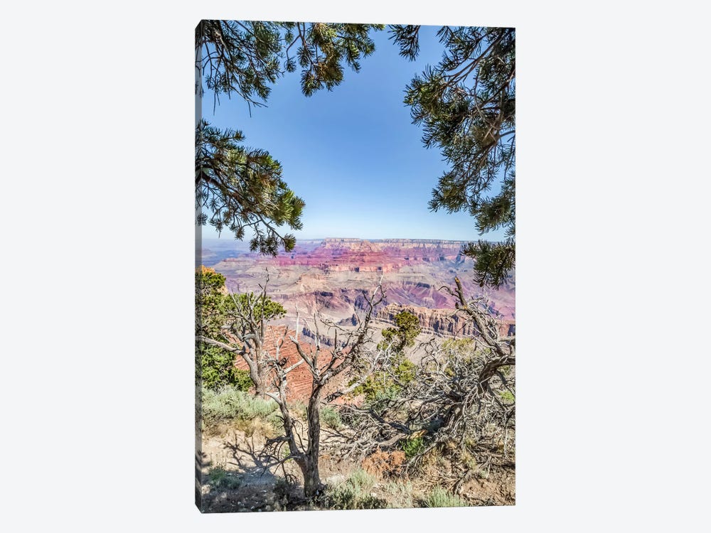Grand Canyon Impression From Navajo Point by Melanie Viola 1-piece Canvas Art