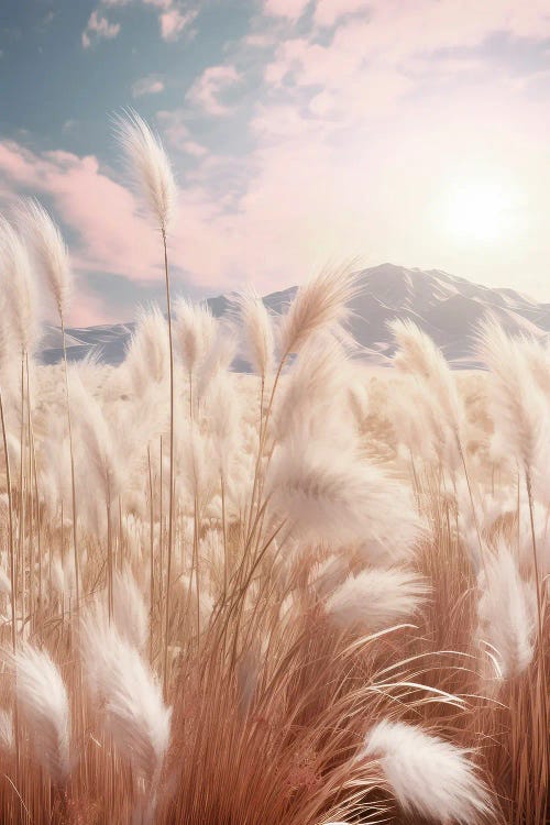 Pampas Grass Art Sunset