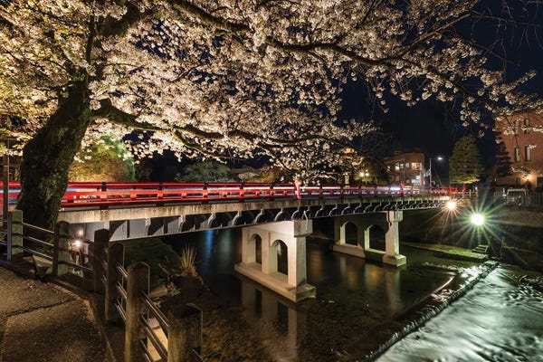 Cherry Blossoms: Picturesque Nightscape Of Nakabashi Bridge In Takayama by Melanie Viola