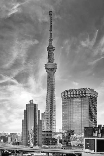 Melanie Viola: Striking Tokyo Skytree By The Sumida River - Monochrome by Melanie Viola