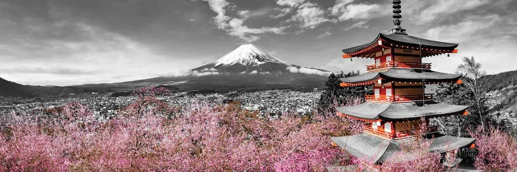 Idyllic Panoramic View Of Mount Fuji With Pagoda And Cherry Trees - Colorkey