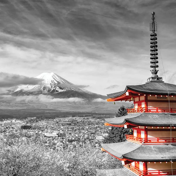 Cherry Blossoms: Lovely View Of Mount Fuji With Chureito Pagoda In Colorkey by Melanie Viola