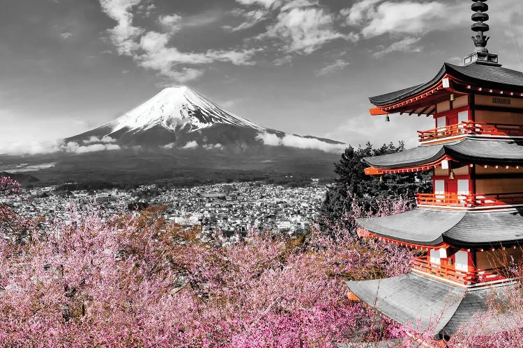 Stunning View Of Mount Fuji With Pagoda And Cherry Trees In Colorkey