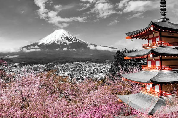 Cherry Blossoms: Stunning View Of Mount Fuji With Pagoda And Cherry Trees In Colorkey by Melanie Viola