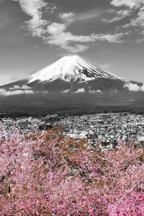 Lovely View Of Mount Fuji In Colorkey