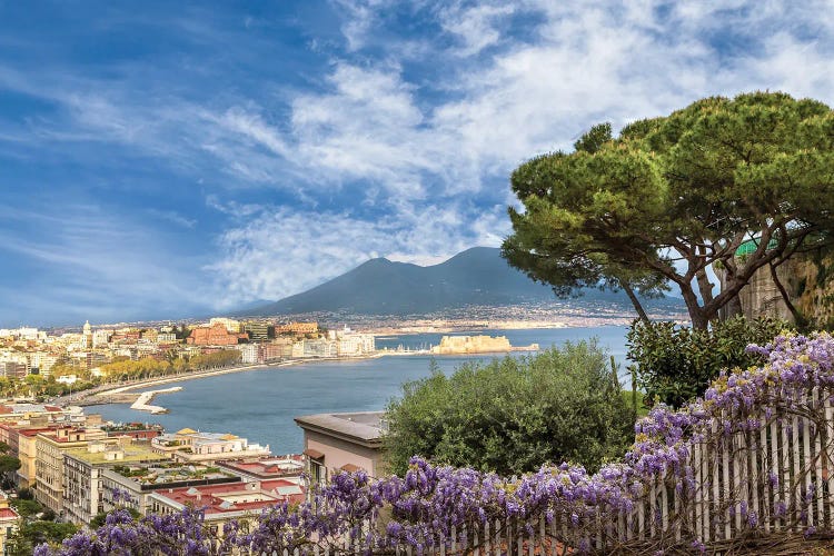 Naples View From The Sea Of Blossoms To Mount Vesuvius by Melanie Viola wall art