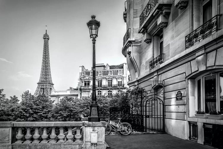 Parisian Charm