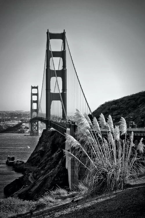 San Francisco Golden Gate Bridge by Melanie Viola wall art