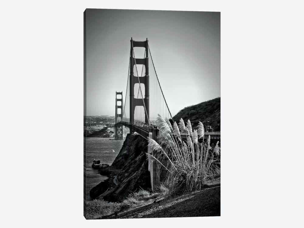 San Francisco Golden Gate Bridge by Melanie Viola 1-piece Art Print