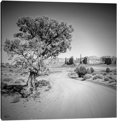 Monument Valley Drive And Totem Pole Canvas Art Print - Utah Art