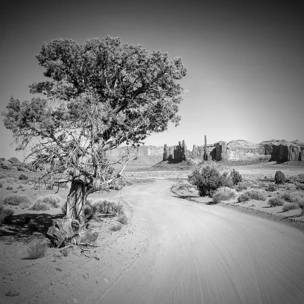 Utah: Monument Valley Drive And Totem Pole by Melanie Viola