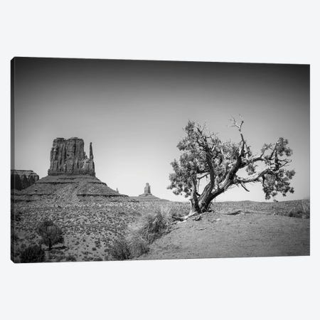 Monument Valley West Mitten Butte And Tree Canvas Print #MEV229} by Melanie Viola Canvas Art