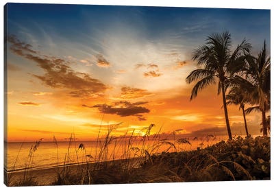 Bonita Beach Bright Sunset Canvas Art Print - Palm Tree Art