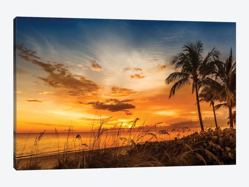 Bonita Beach Bright Sunset by Melanie Viola 1-piece Canvas Artwork