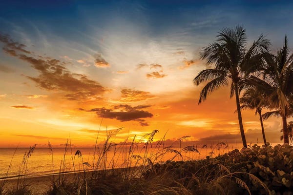 Florida: Bonita Beach Bright Sunset by Melanie Viola