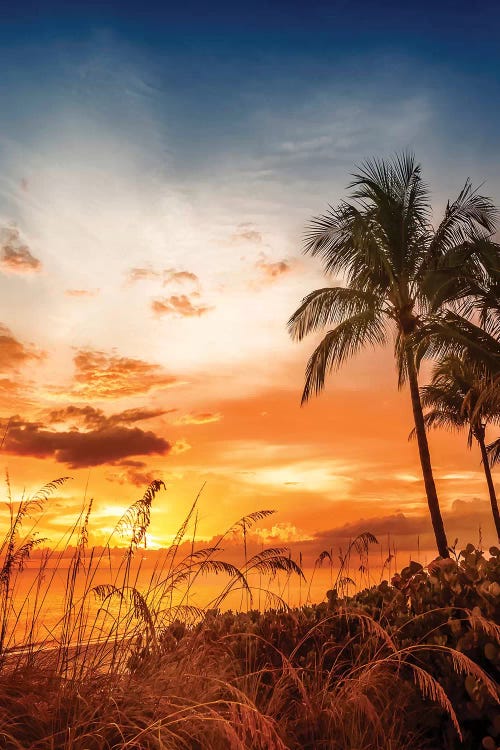 Bonita Beach Romantic Sunset by Melanie Viola wall art