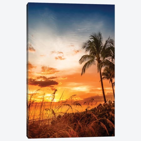 Bonita Beach Romantic Sunset Canvas Print #MEV250} by Melanie Viola Canvas Print