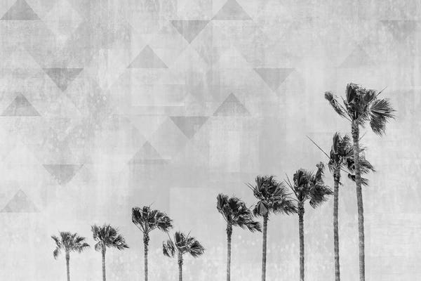Black & White Florals: California Vibes In Black & White by Melanie Viola