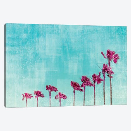 California Vibes In Psychadelic Colors Canvas Print #MEV253} by Melanie Viola Canvas Print