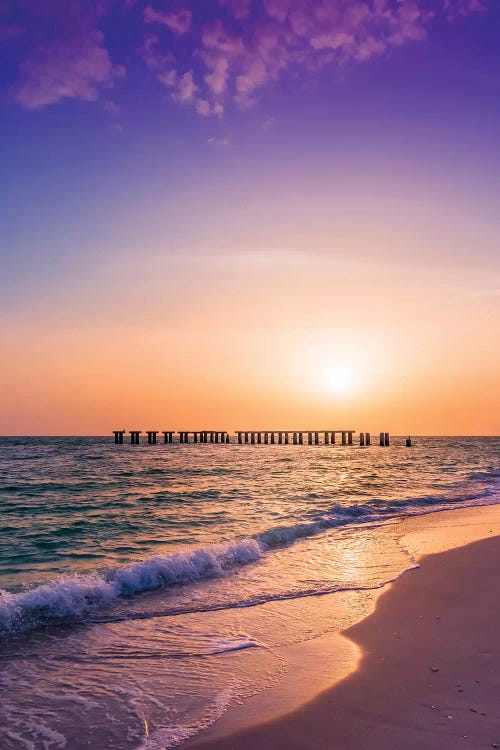 Gasparilla Island Sunset by Melanie Viola wall art