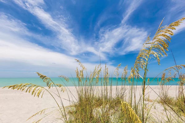 Florida Beaches: Heavenly Calmness On The Beach by Melanie Viola