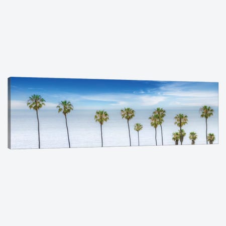 Lovely Palm Trees At The Ocean Canvas Print #MEV273} by Melanie Viola Canvas Print
